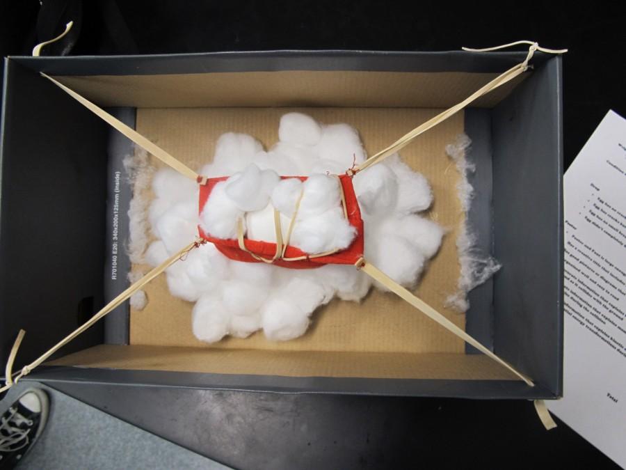 The Eagle Eye Mission egg drop