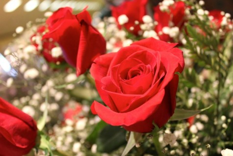 Running out of ValenTIME?
