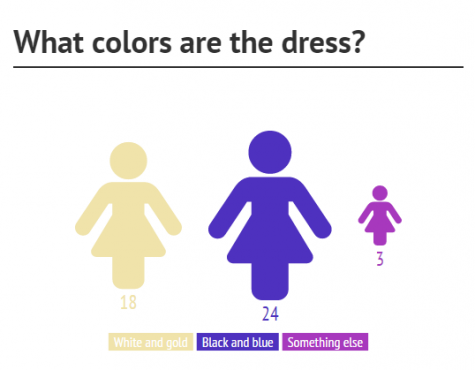 Students at SMCHS are divided in the color perceptions of the dress.