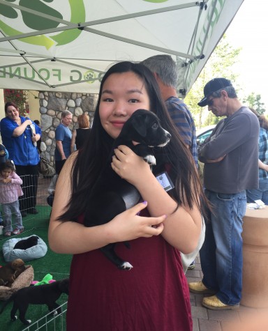 Caroline Cai, sophomore club president, holds a puppy in search of a new home during a Greendog Foundation event on March 22.