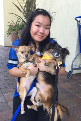 Caroline Cai, sophomore club president, can't get enough puppy love at a Greendog Foundation event on March 8.