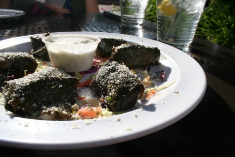 Dolmades, please! - This lovely Greek appetizer from Thasos Greek Island Grille is a wonderful way to start your meal. Tasty and soft lemon rice is delicately wrapped in saturated grape leaves to create this masterpiece.