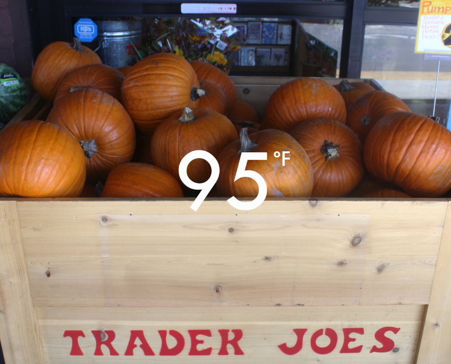 Its never too early (or too hot!) to start selling pumpkins.