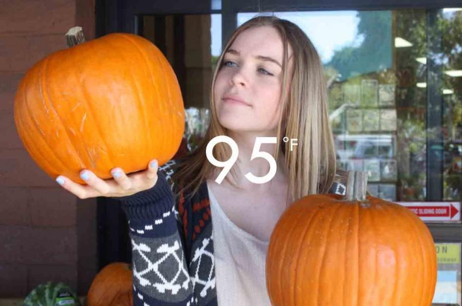 The weather cant take away the best fall traditions like carving pumpkins.
