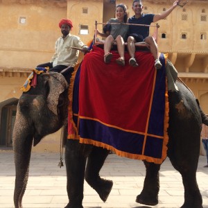 A trip to India is incomplete without a ride on an elephant.