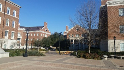 College hunt