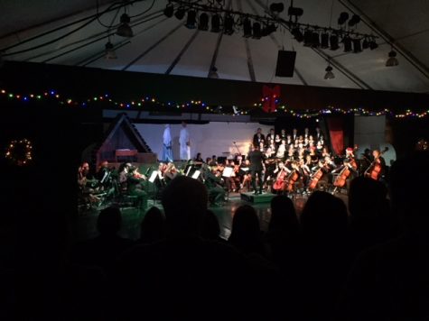 ‘Tis the Christmas show season