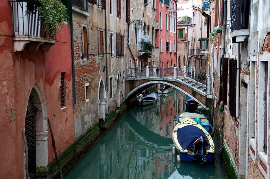 The decrease of tourism in Venice, Italy improves the canals waters and quality of life for the marine animals.