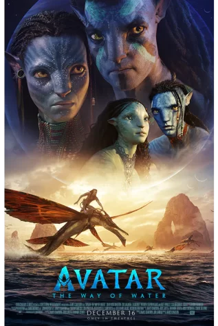 Avatar Returns After 13 Years