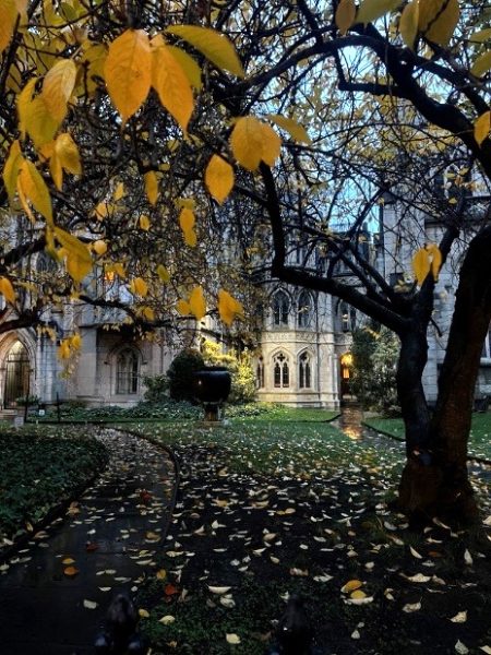 Grace Church in New York City in the fall.